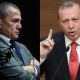 Turqia i do “kokën në tepsi”, shpërthen Berati: Erdoganin s’e dua!